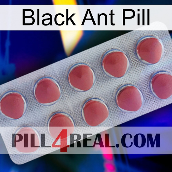 Black Ant Pill 18.jpg